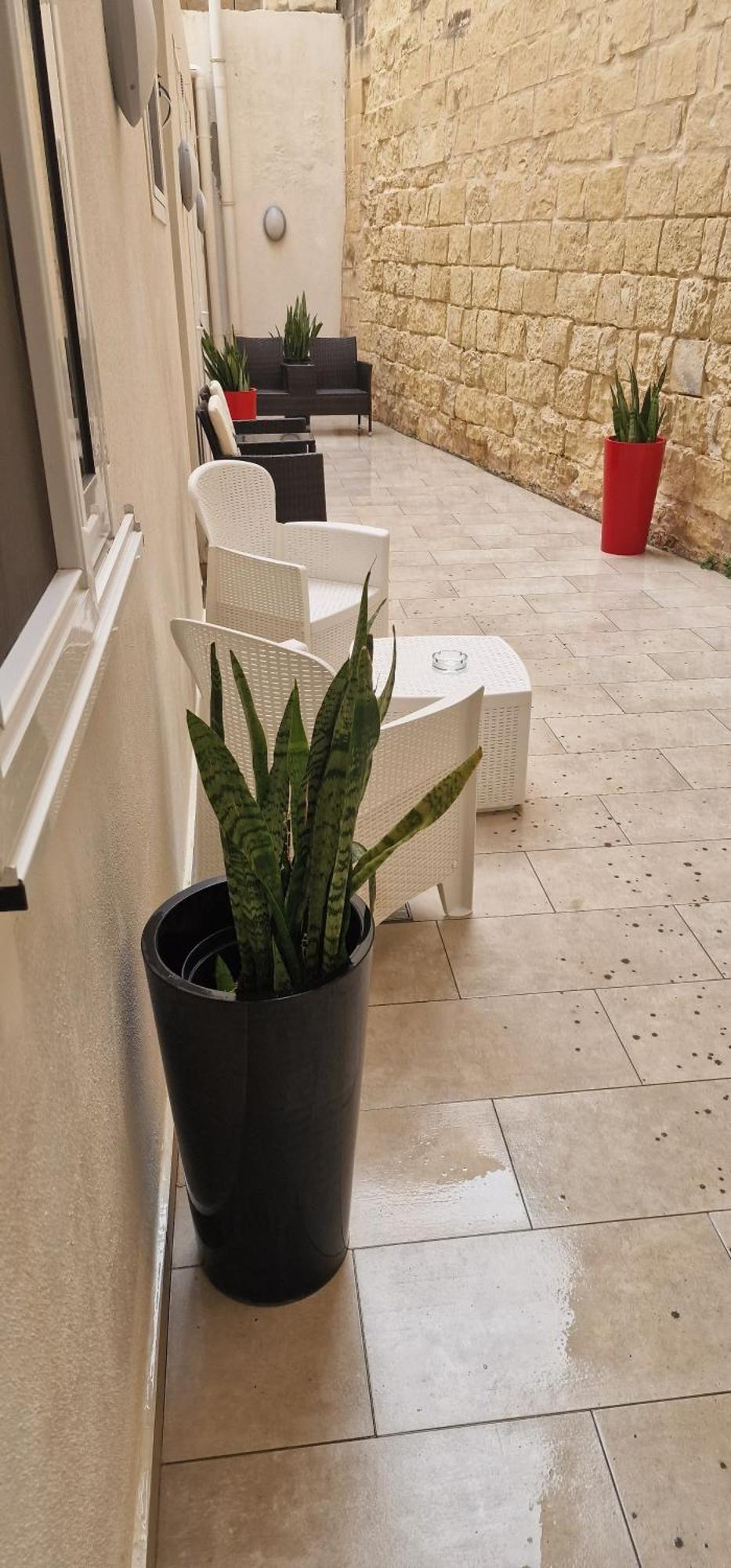 Sliema In Front Of The Sea O'Clock B&B Malta מראה חיצוני תמונה